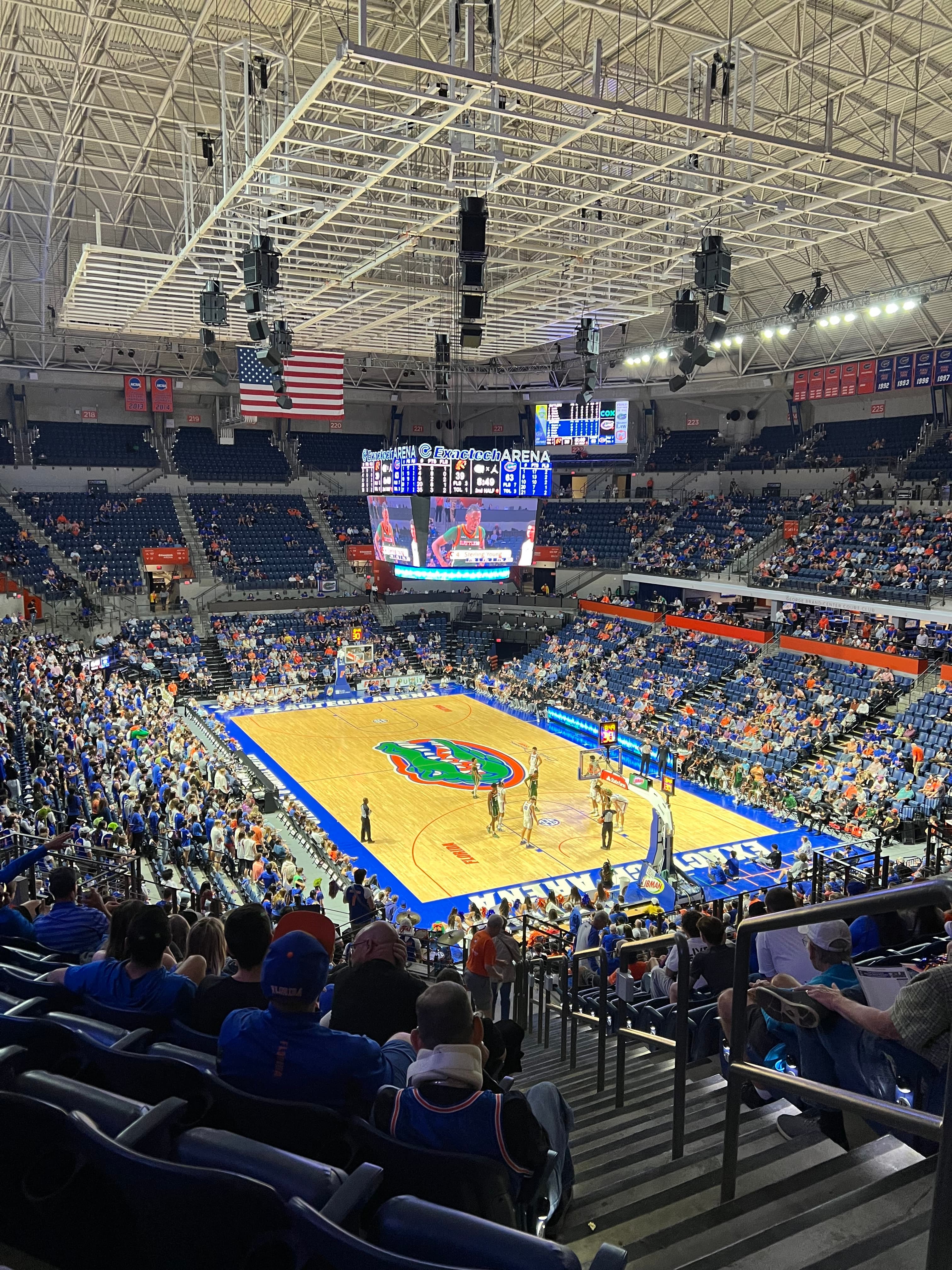 gators