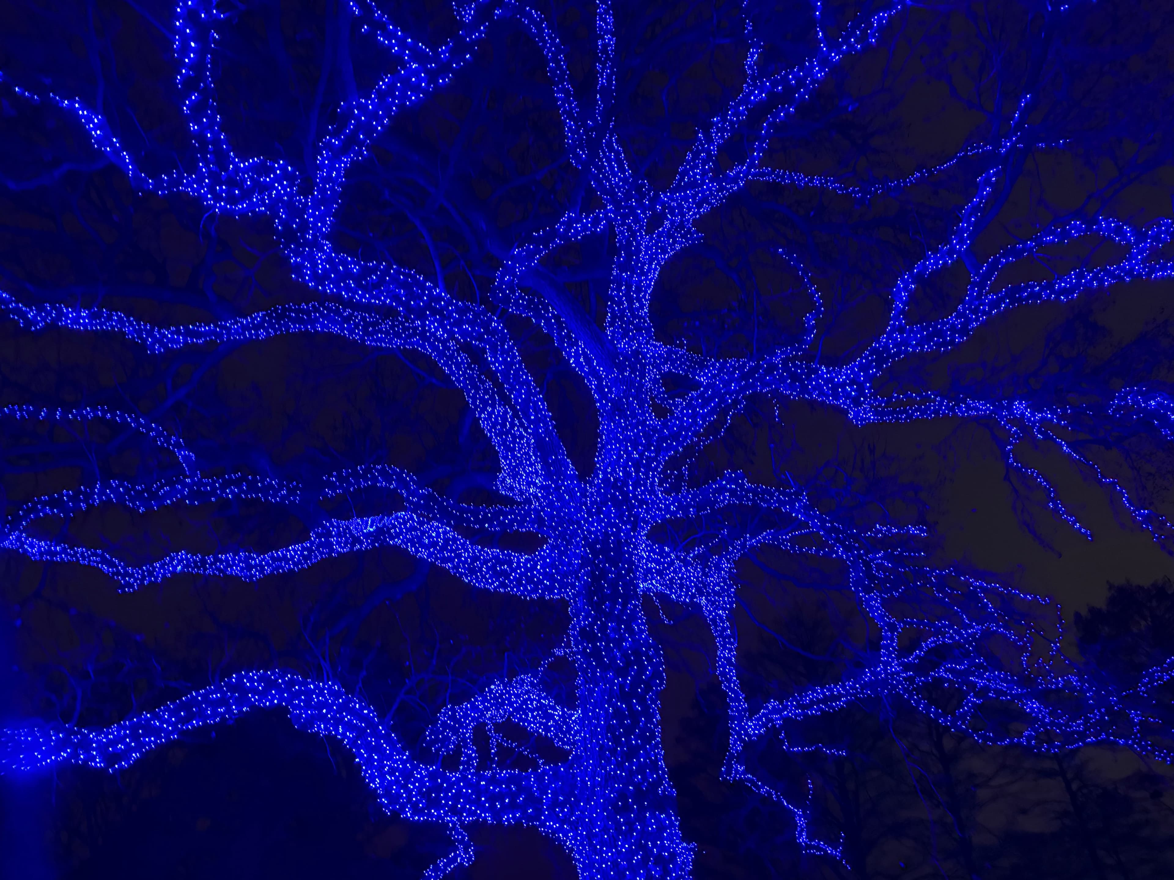 glow