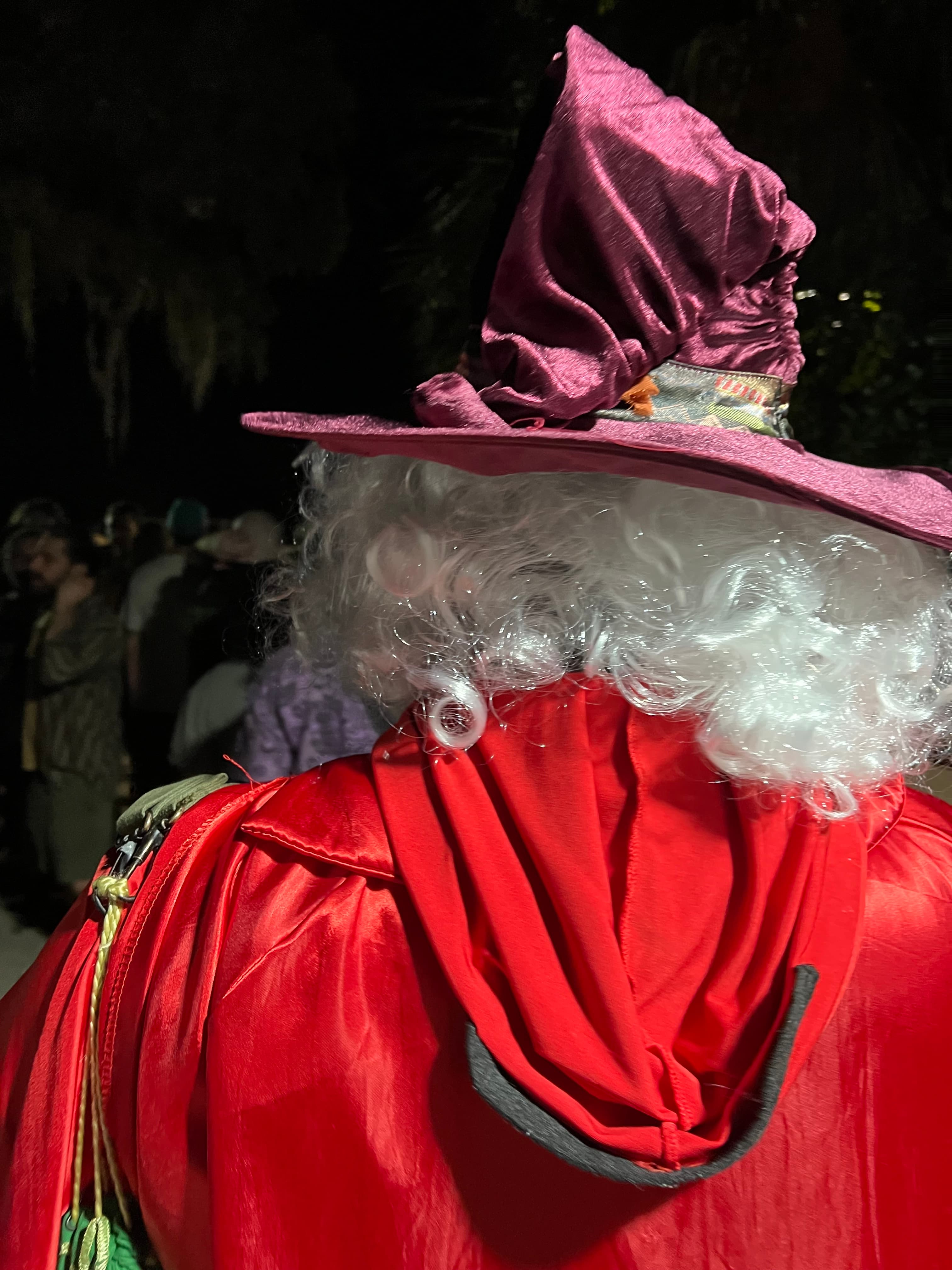 lizard-wizard